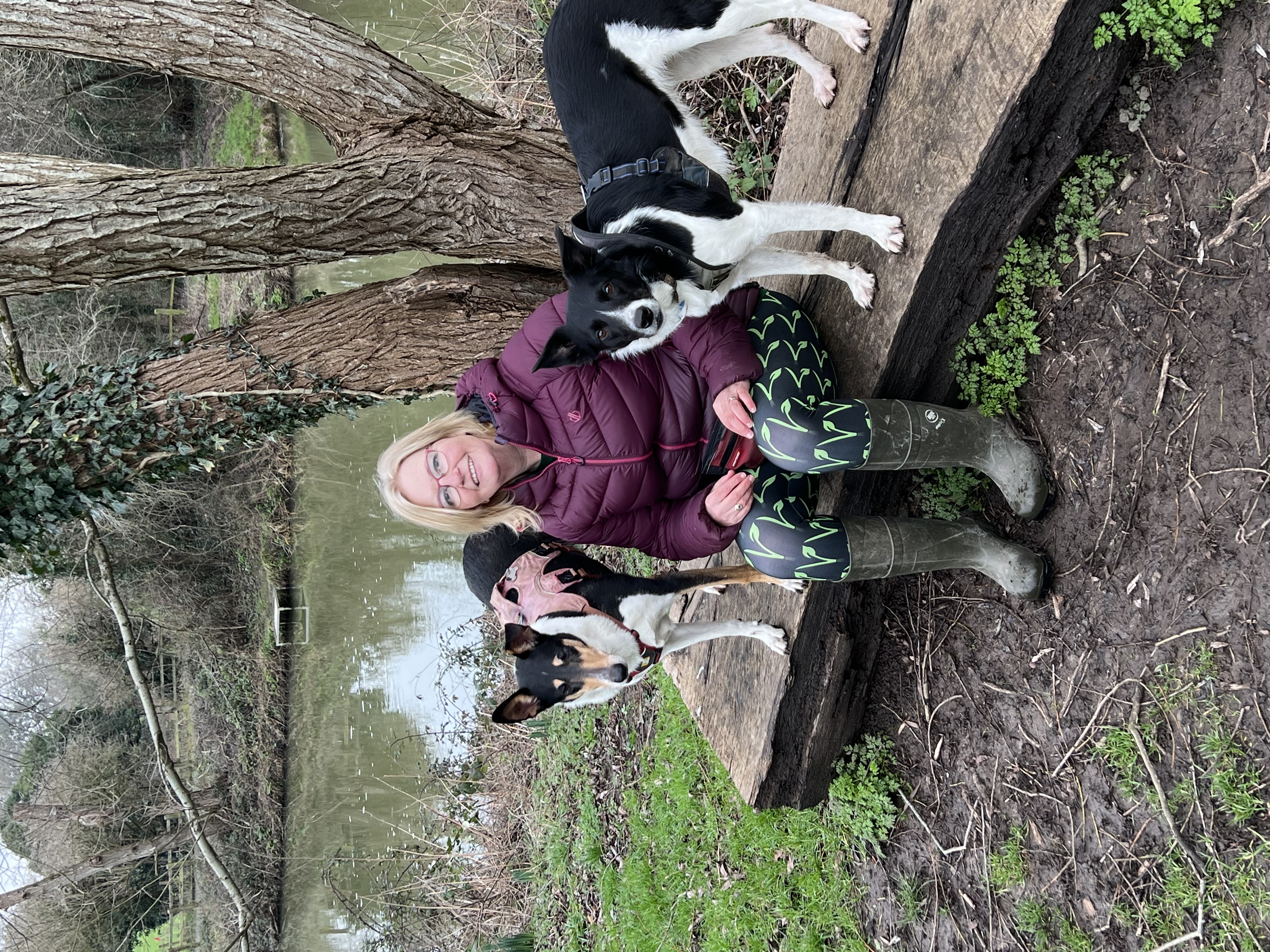 Ali providing clinical canine massage therapy in Chippenham, Wiltshire