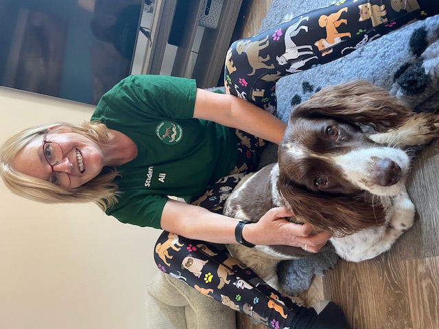 Ali with Lexi, a Springer Spaniel, on a grey dog bed