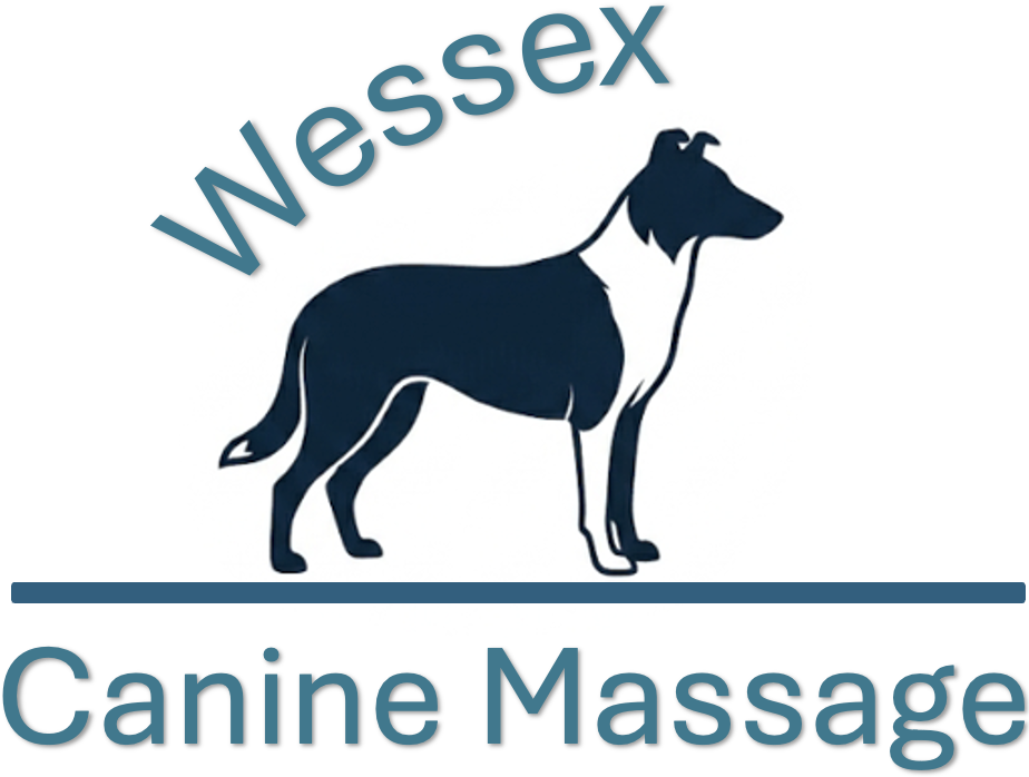 Wessex Clinical Canine Massage